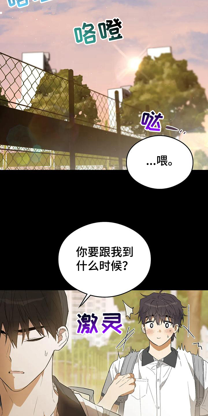 第15章：恋爱命运：实现了【完】6