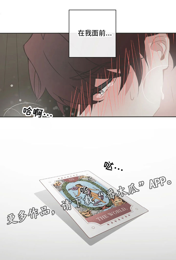 第40章：桃花运：像梦一样12