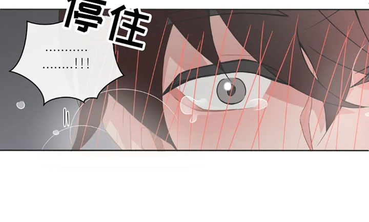 第39章：桃花运：运气不错12