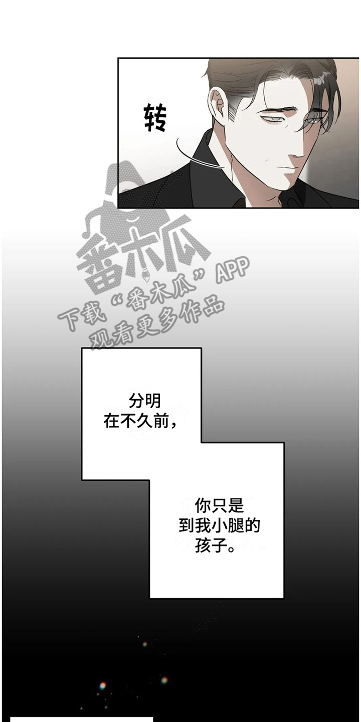 第33章：完美大叔：倾诉13