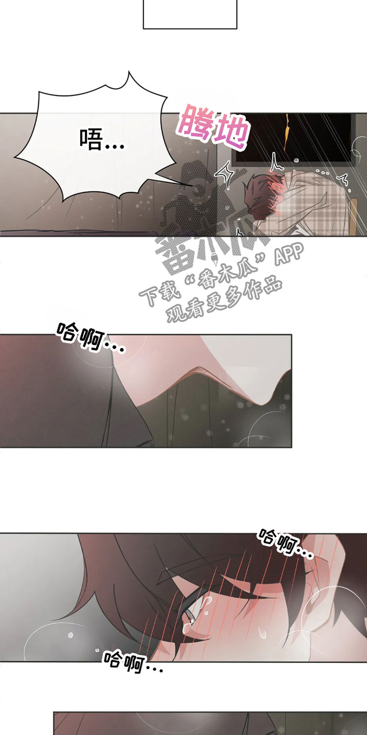 第39章：桃花运：运气不错8