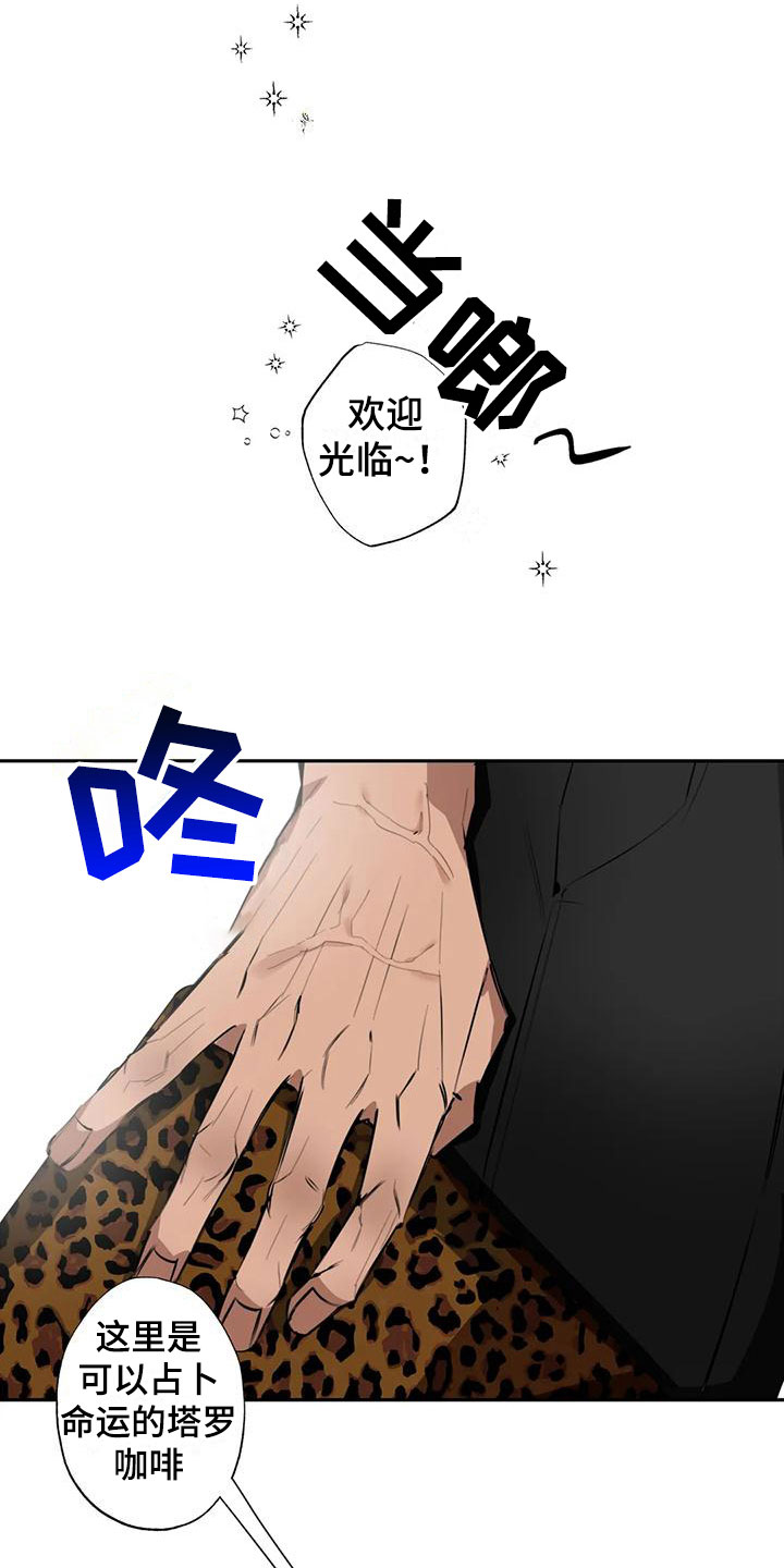 第3章：大哥的爱：占卜9