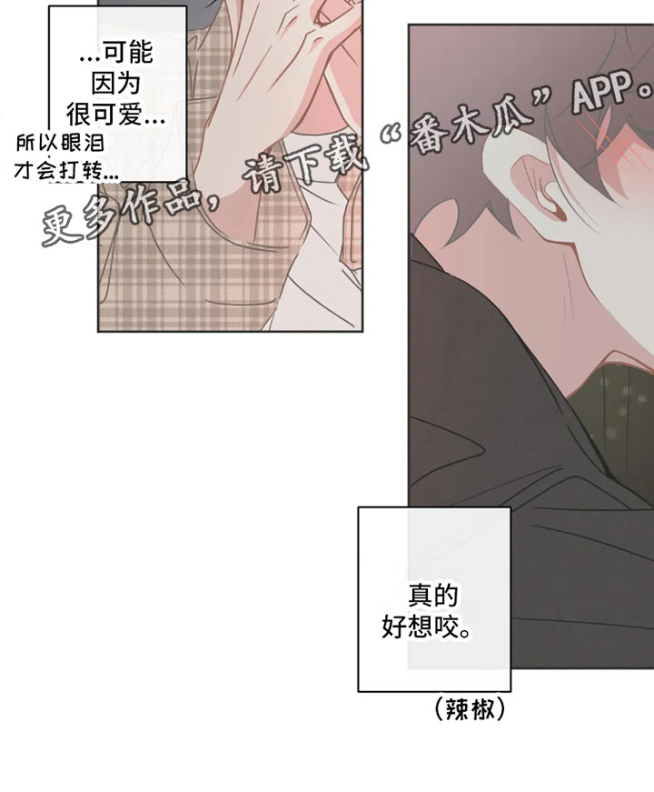 第38章：桃花运：可爱13