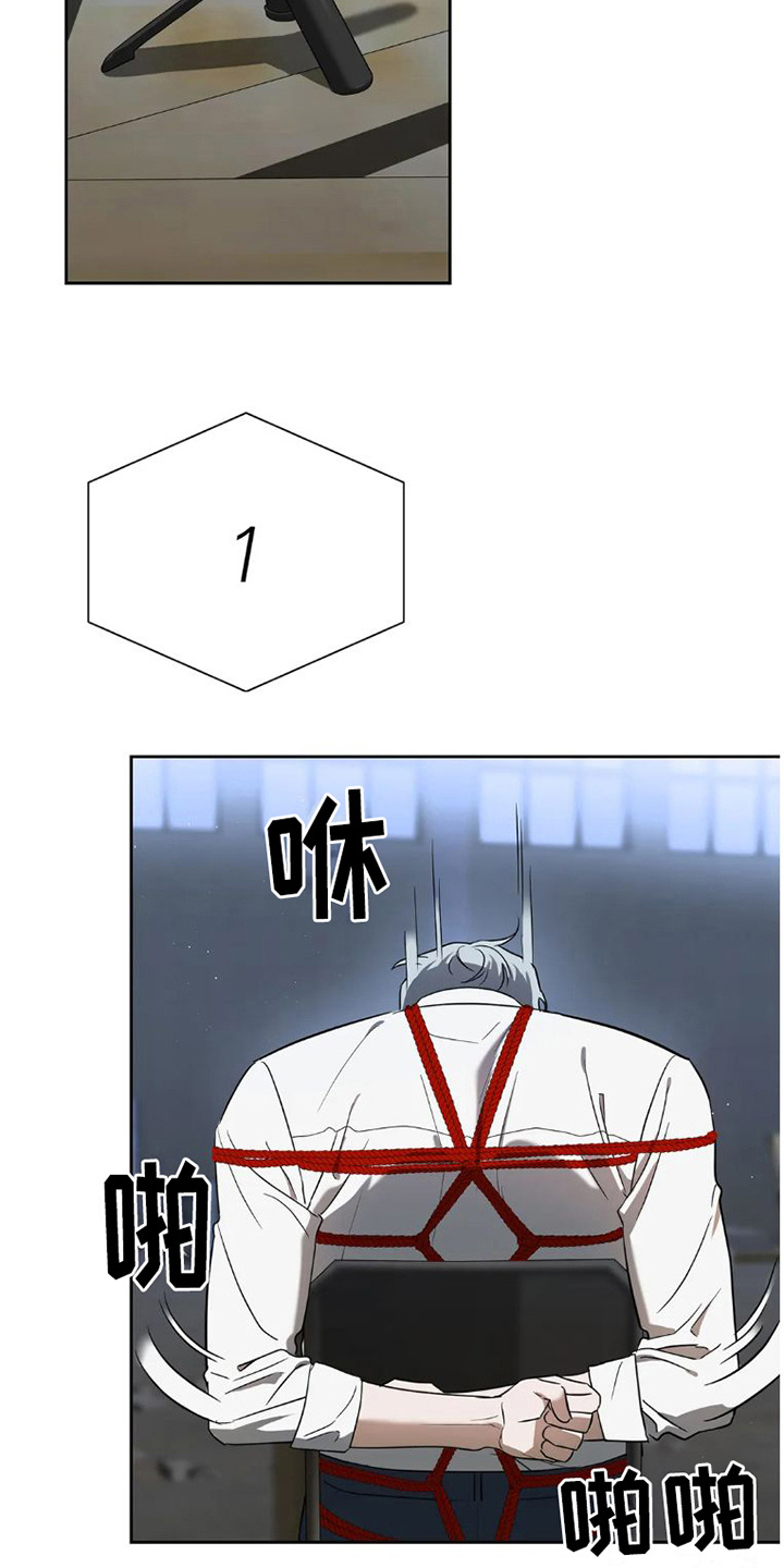 第30章： 完美大叔：出主意17
