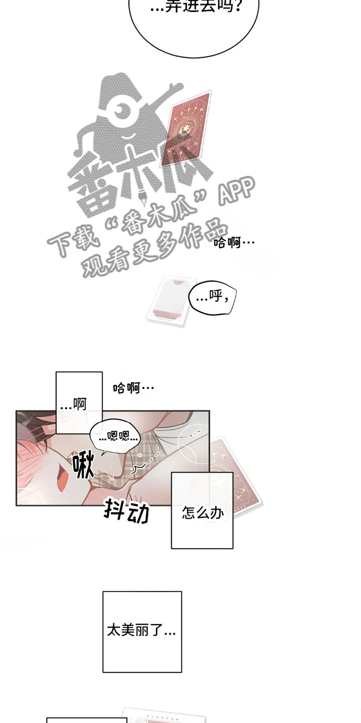第40章：桃花运：像梦一样10