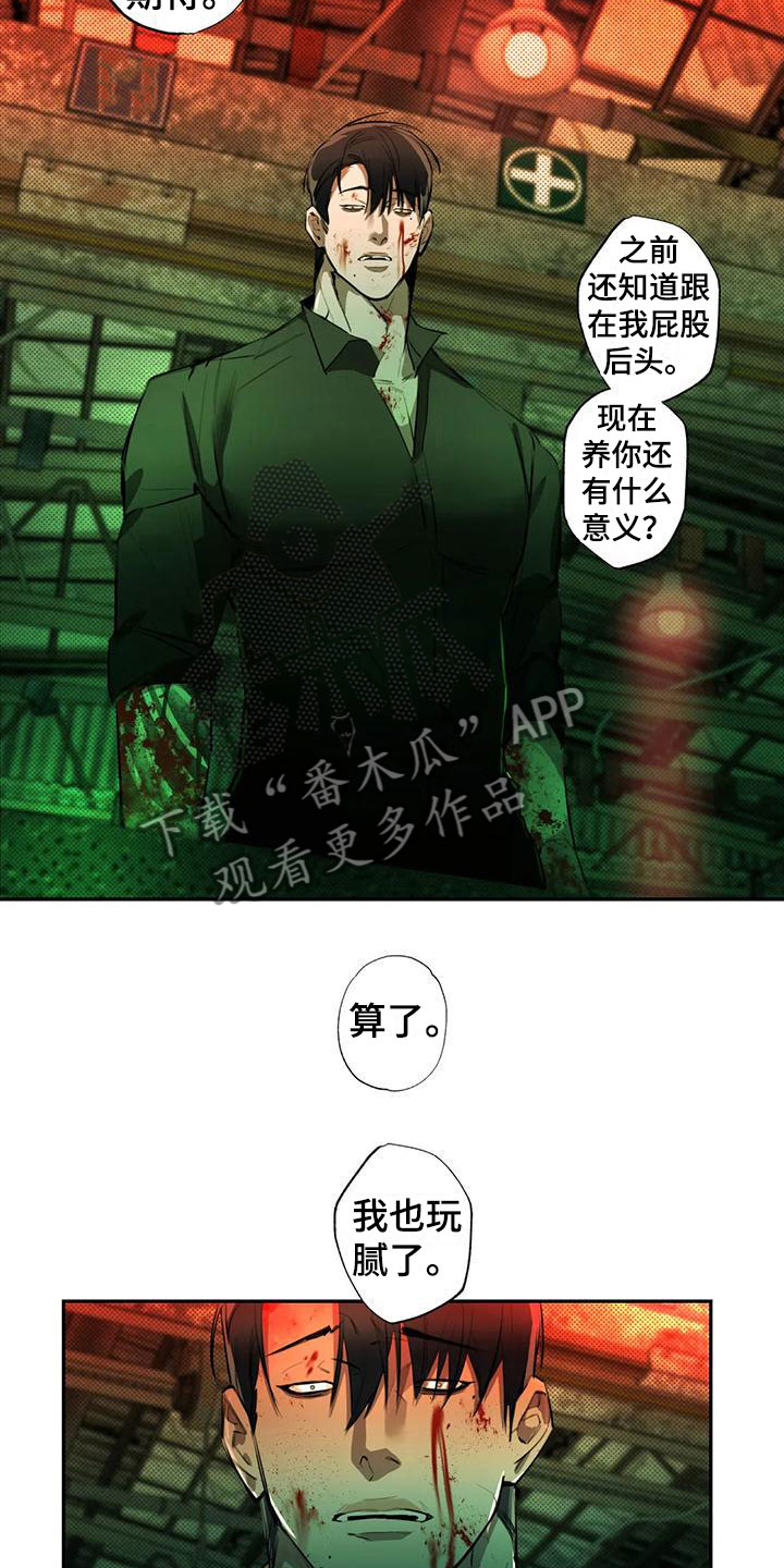 第5章：大哥的爱：逼问10