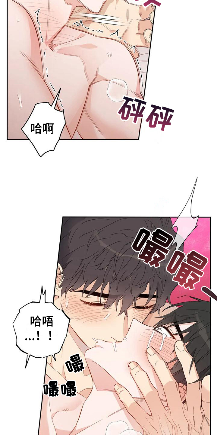第14章：恋爱命运：交往13