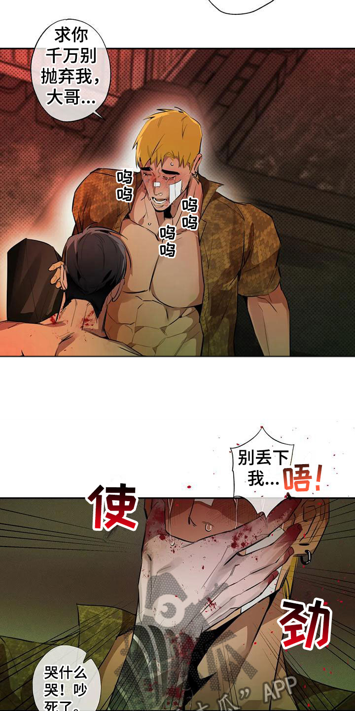 第6章：大哥的爱：原计划【完】4