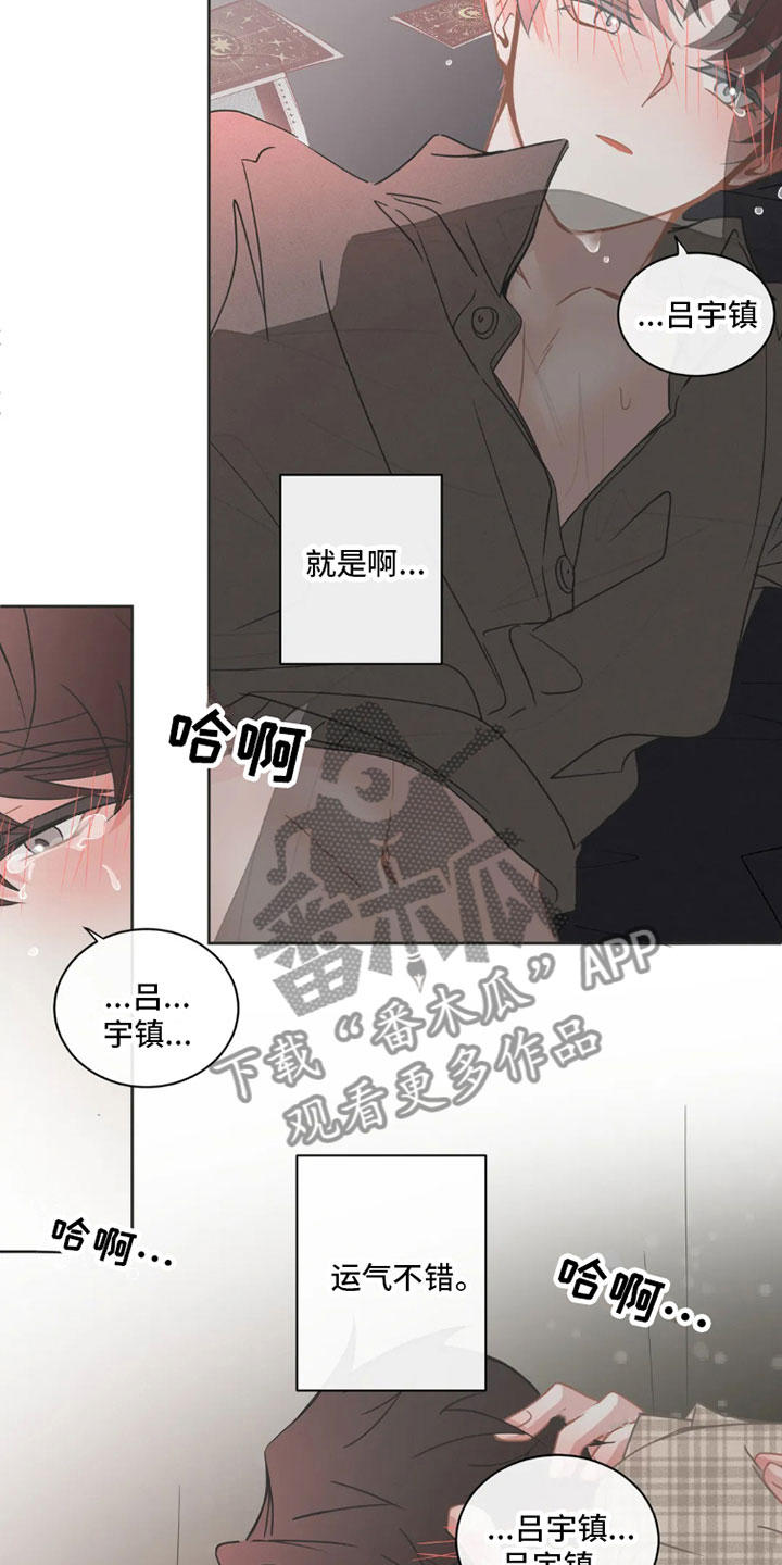 第40章：桃花运：像梦一样8