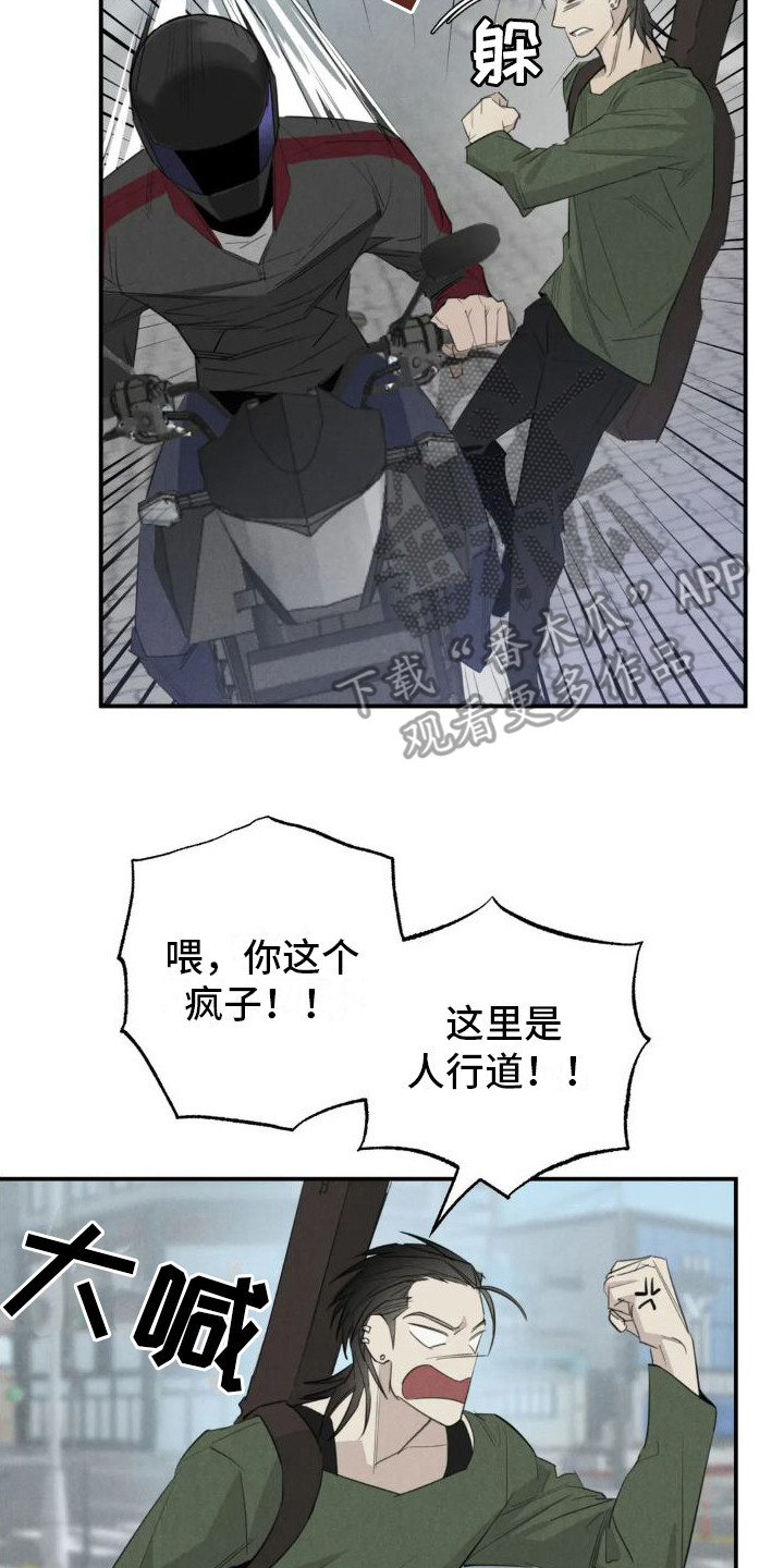 第19章：姻缘占卜：无视7