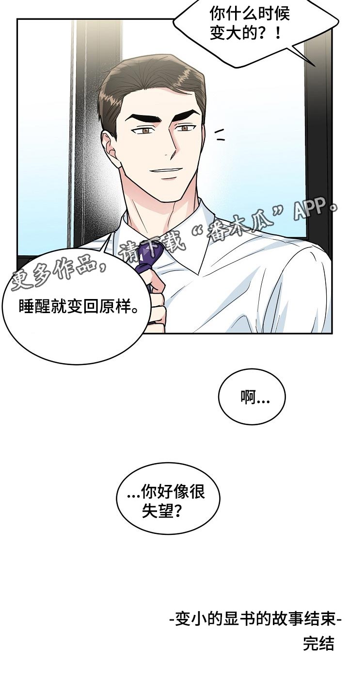 第111章：【番外】变小的显书（完结）16