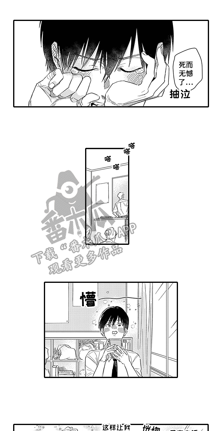 第6章：猜测9