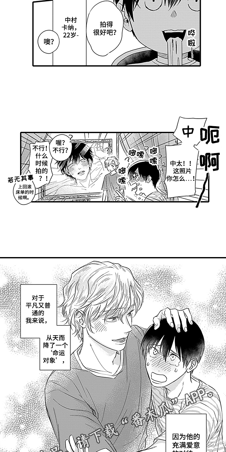 第19章：天降命运【完结】11