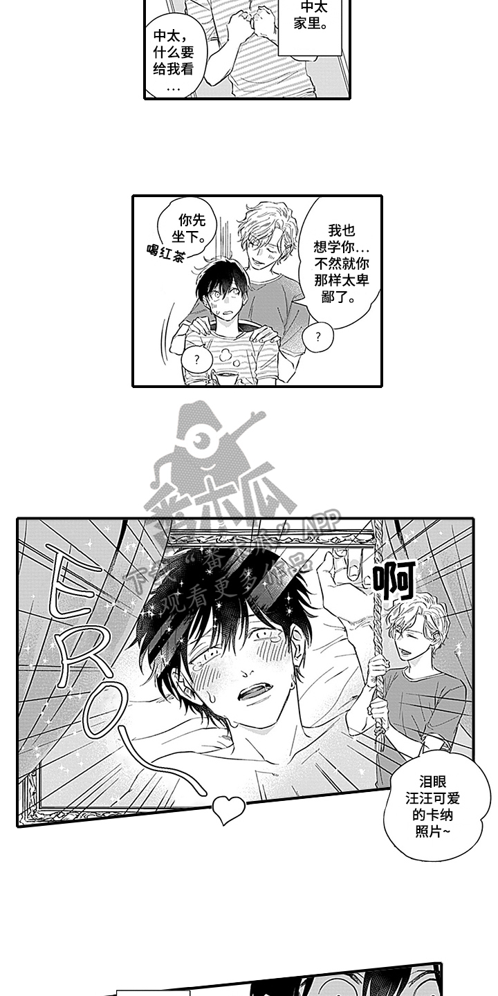 第19章：天降命运【完结】10