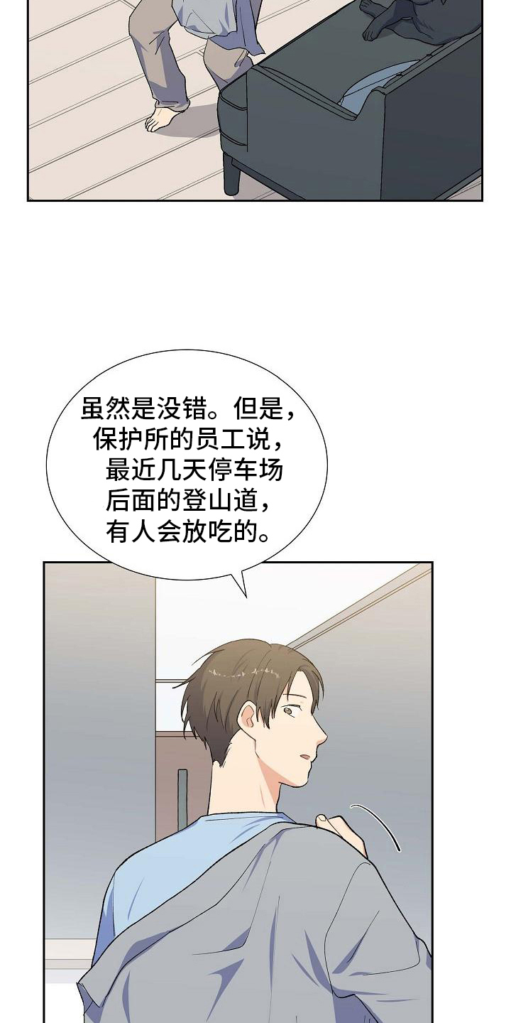 第26章：猜测11