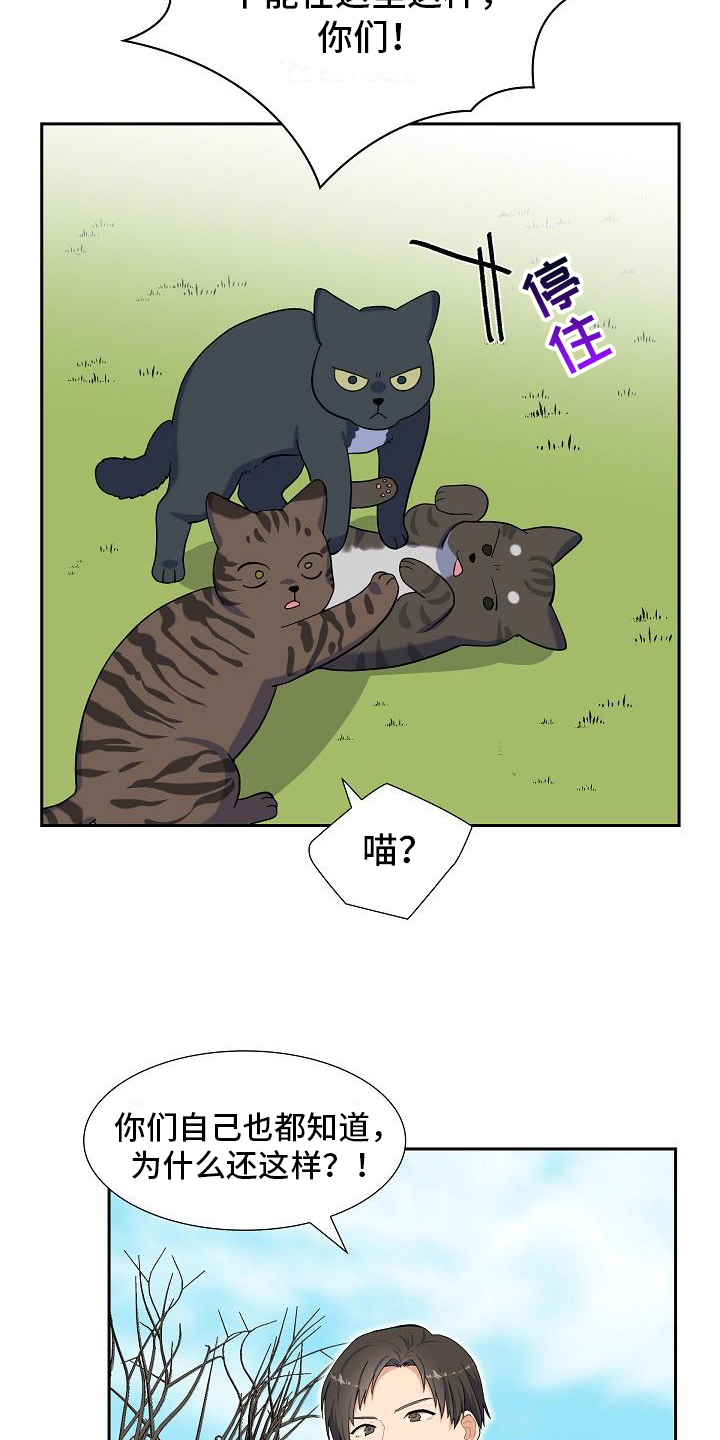 第7章：猫的纷争8