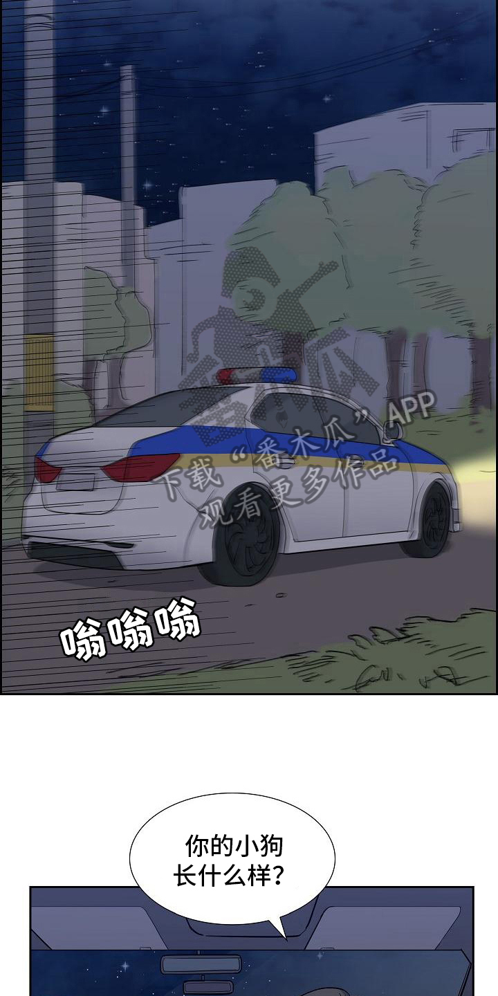 第17章：找狗11