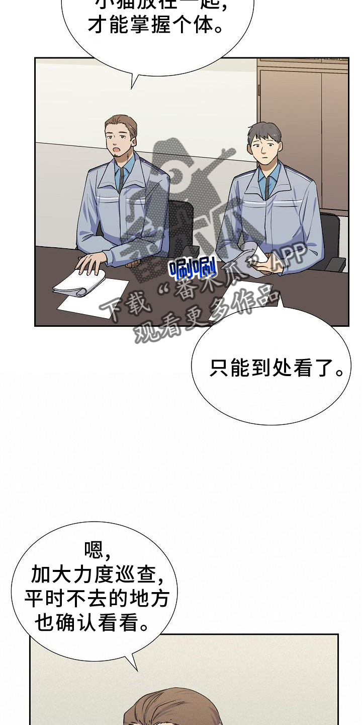 第31章：侦察11