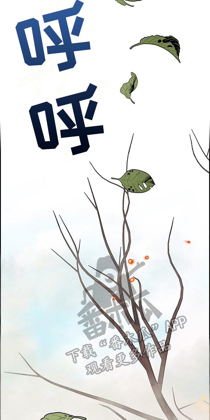 第10章：山火14