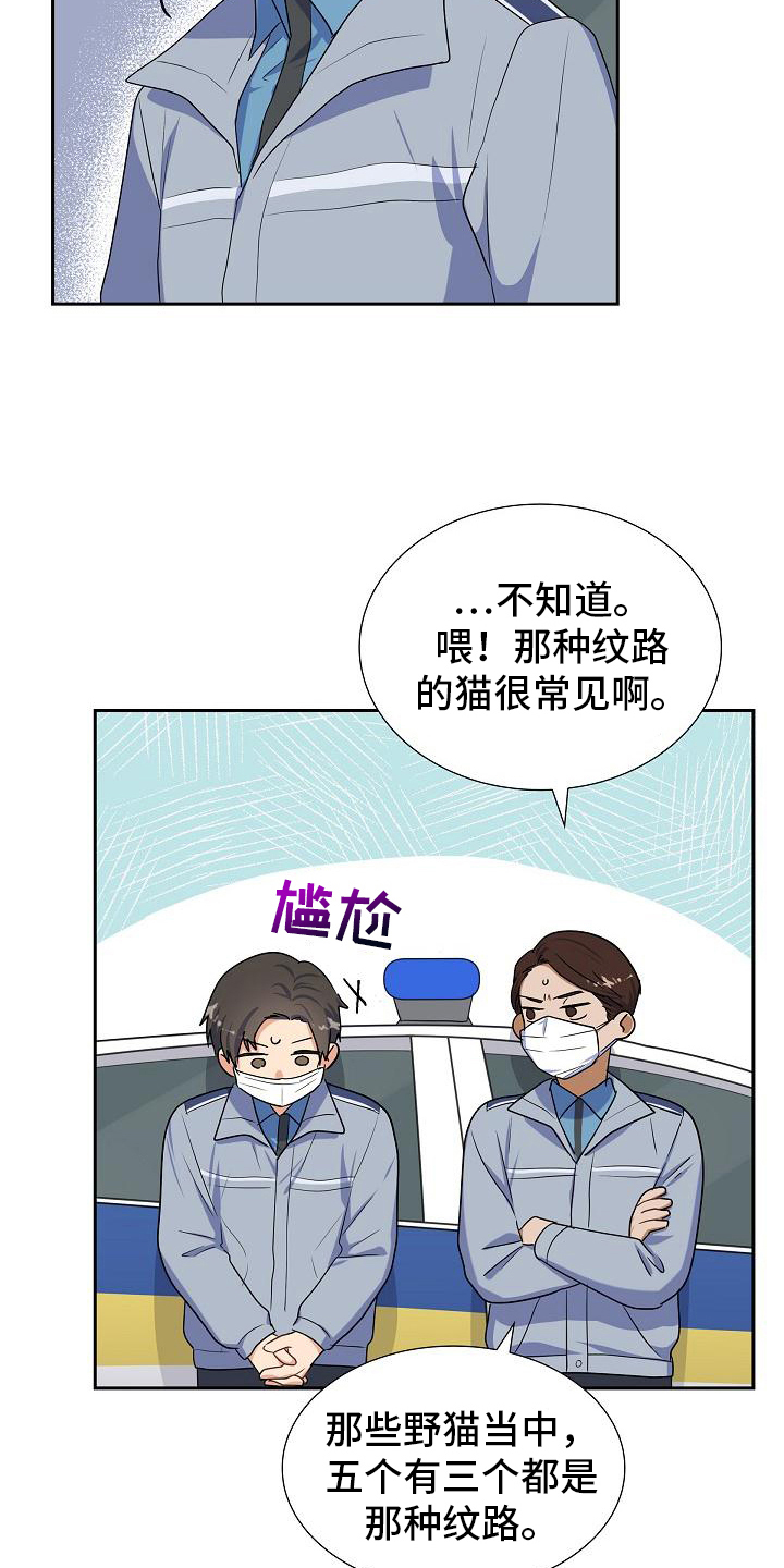 第14章：担忧13