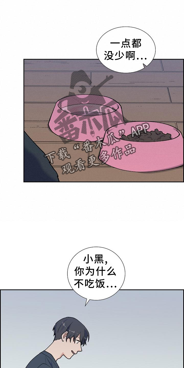 第35章：折腾21