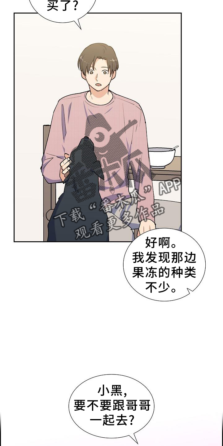 第33章：零食13