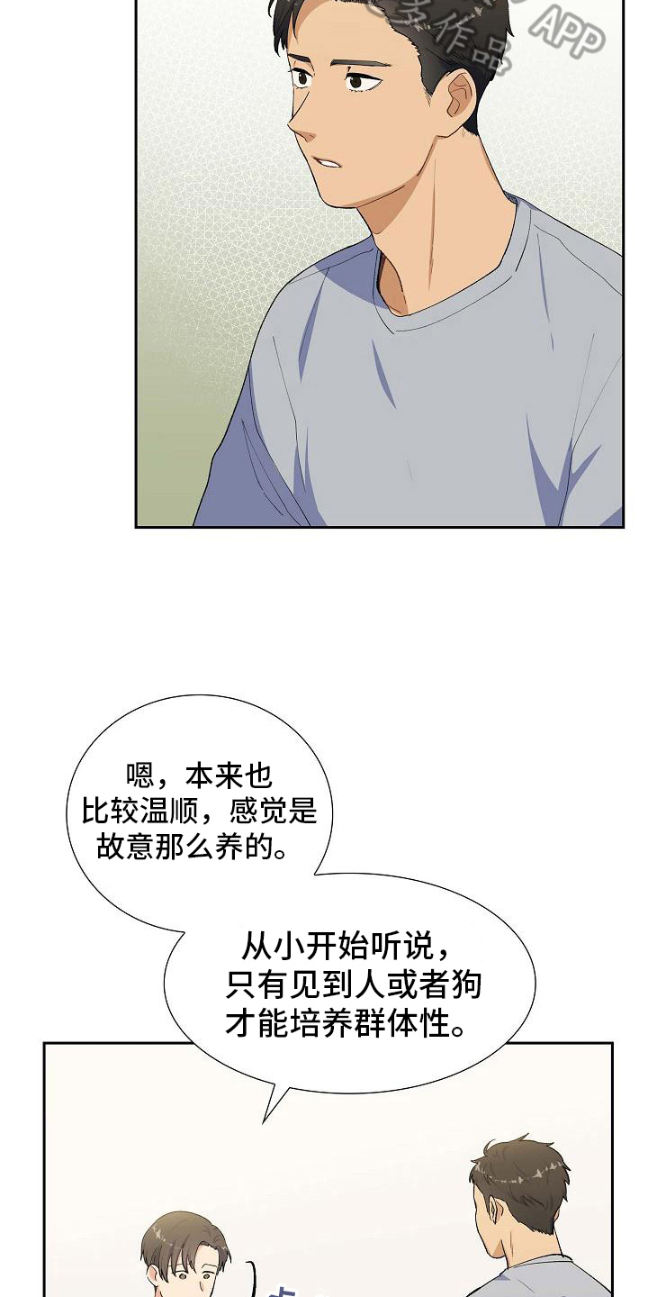 第20章：疑点8