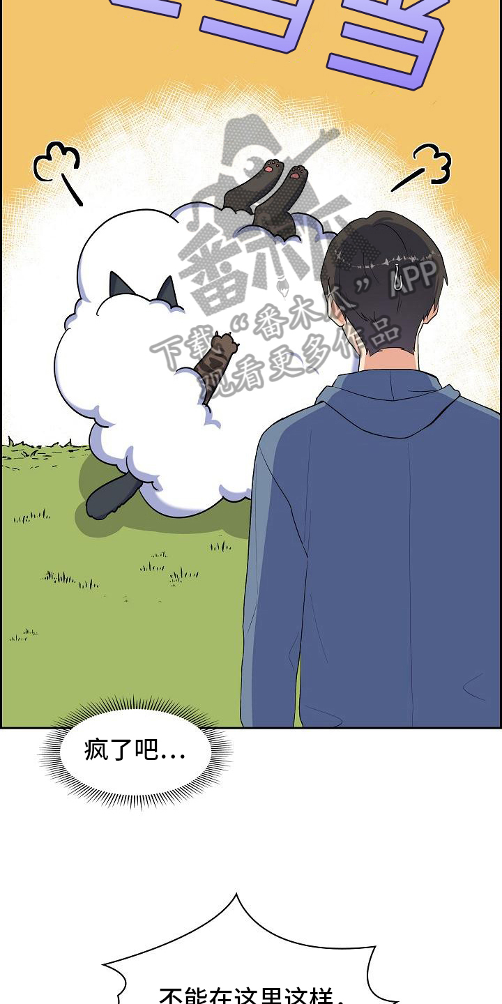 第7章：猫的纷争7