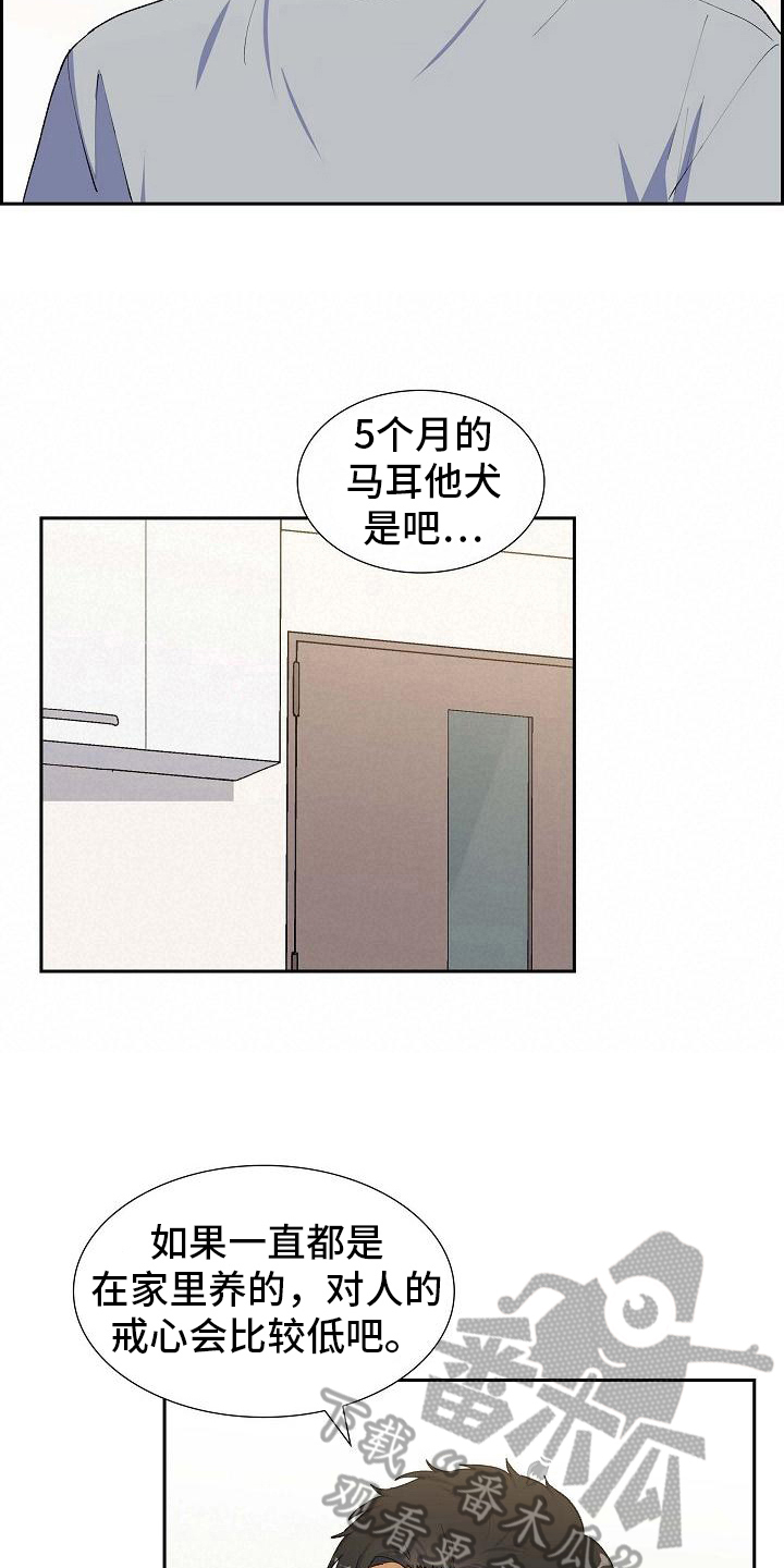 第20章：疑点7