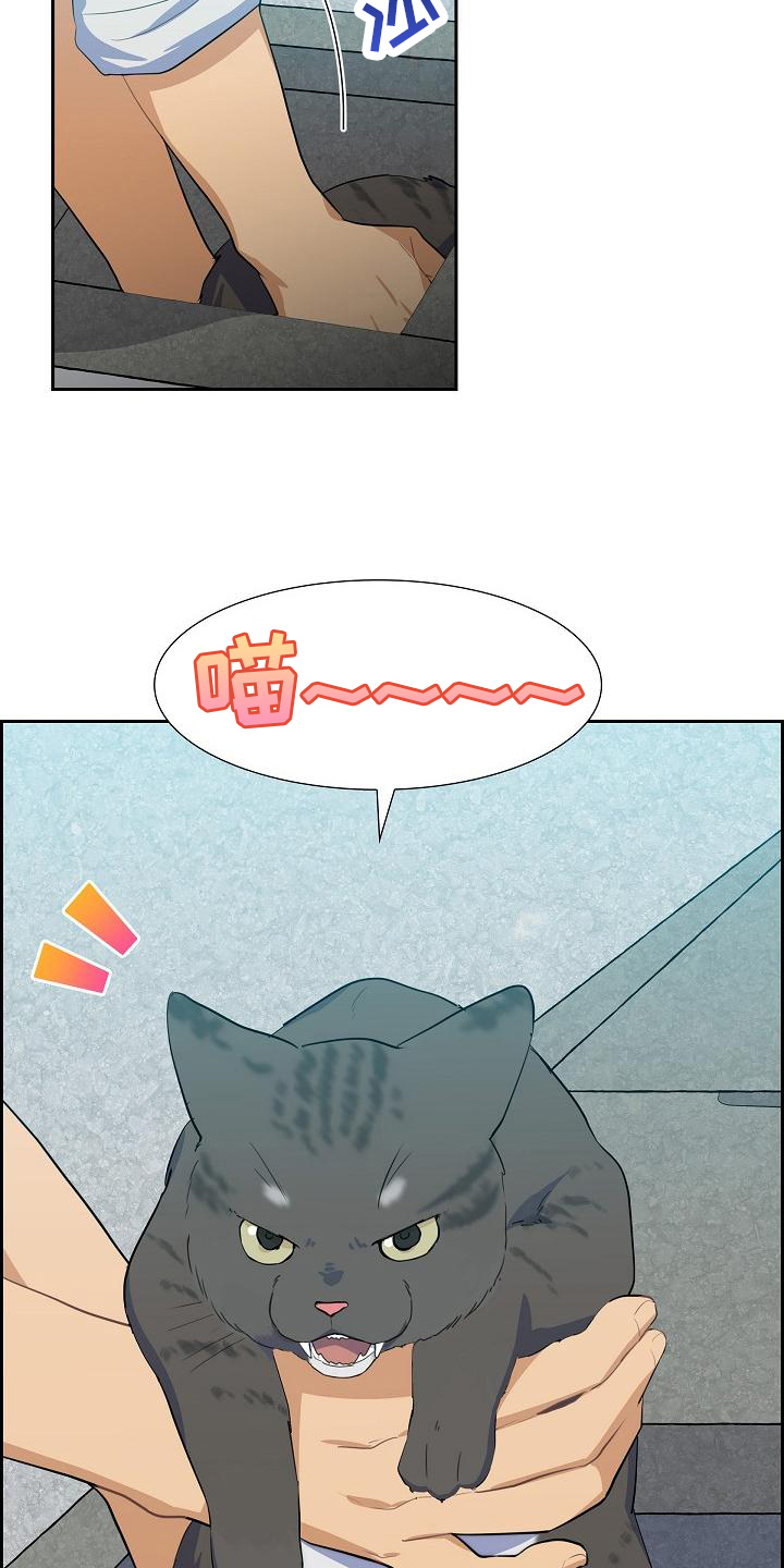 第3章：拒绝17