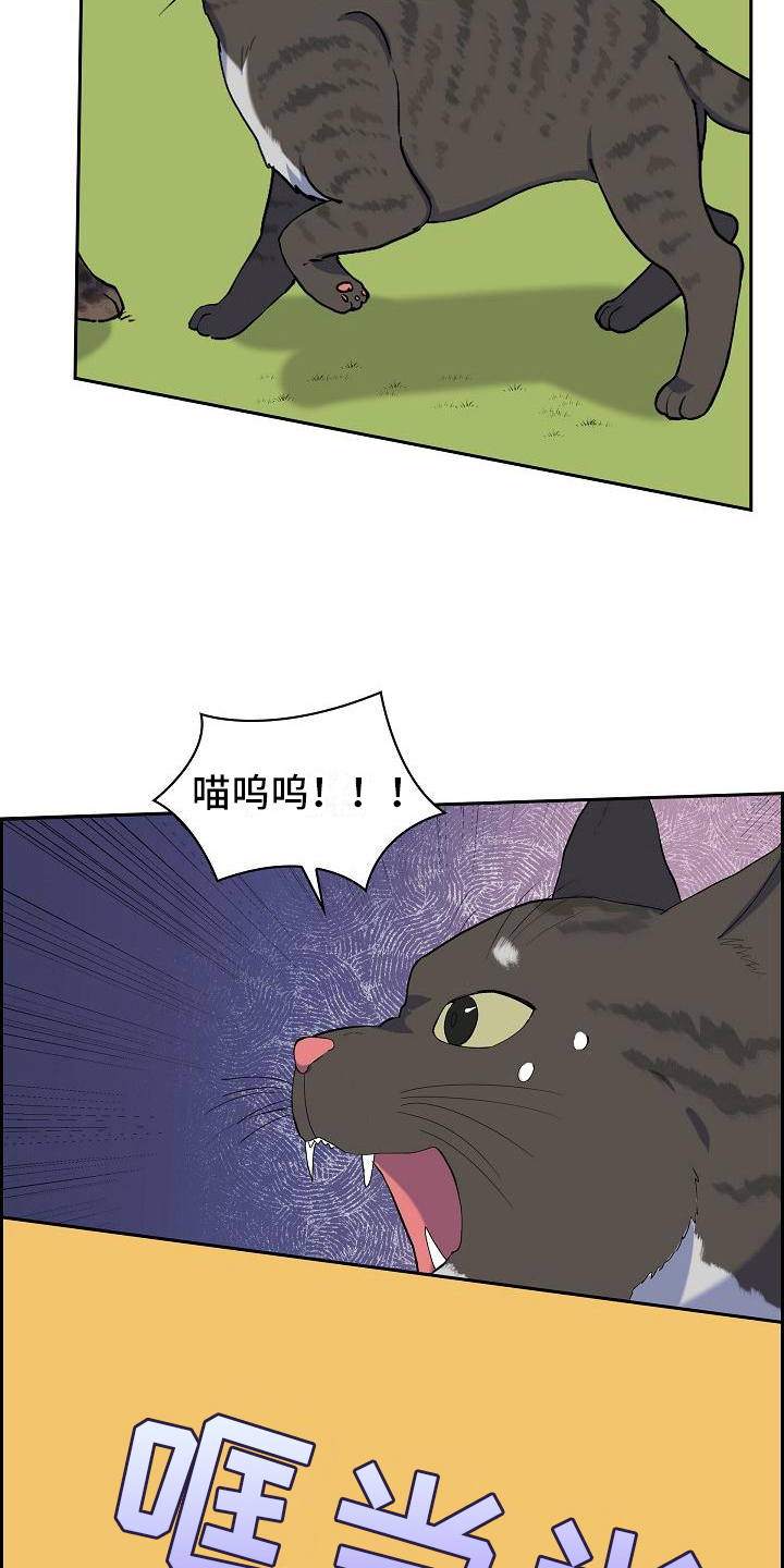 第7章：猫的纷争6