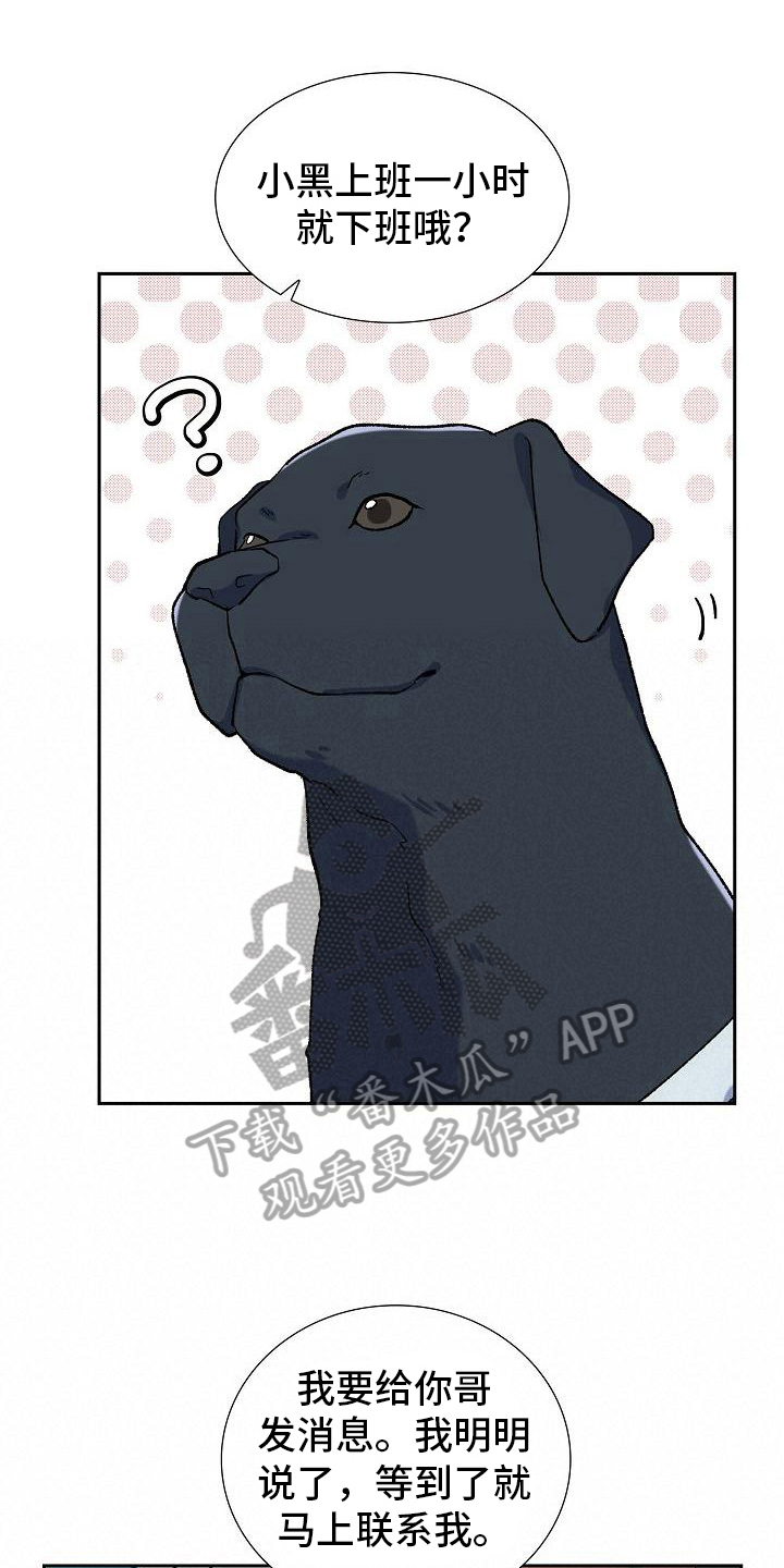 第24章：照顾0
