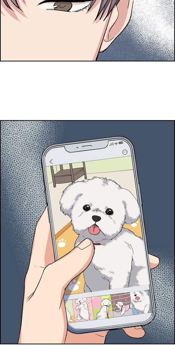 第17章：找狗15