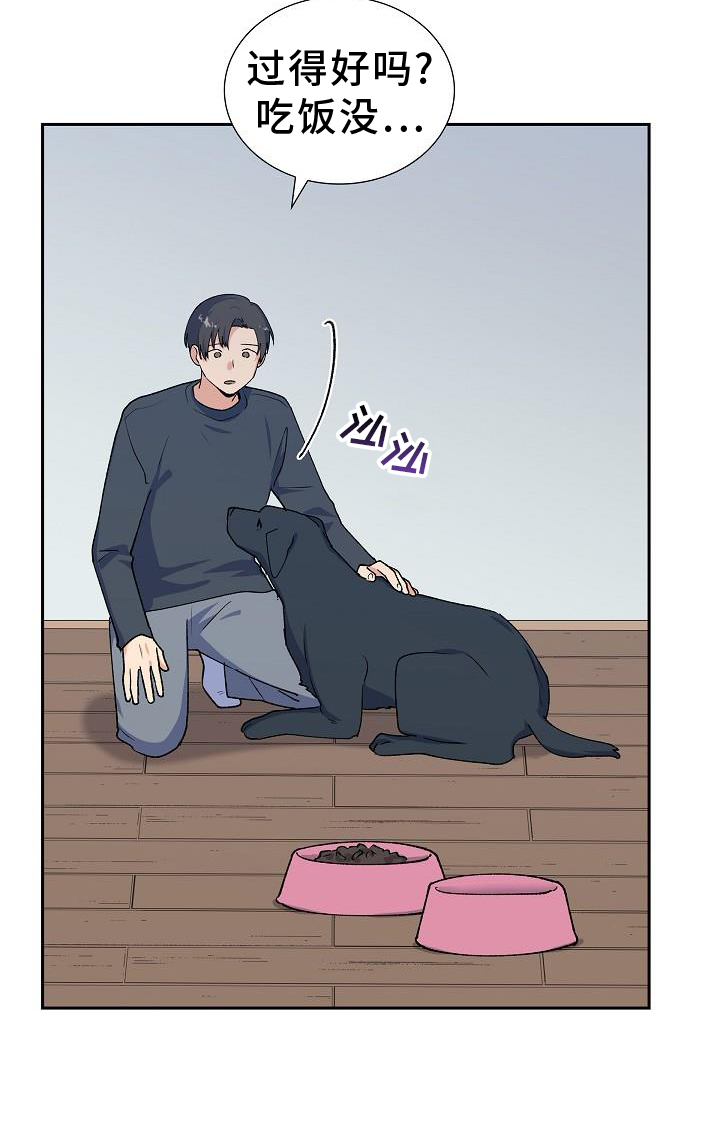 第35章：折腾20