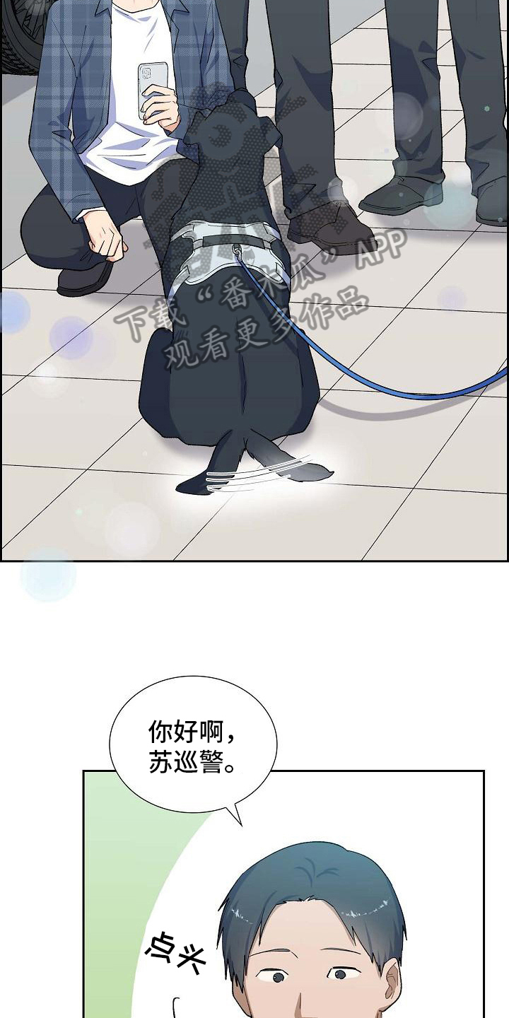 第24章：照顾3