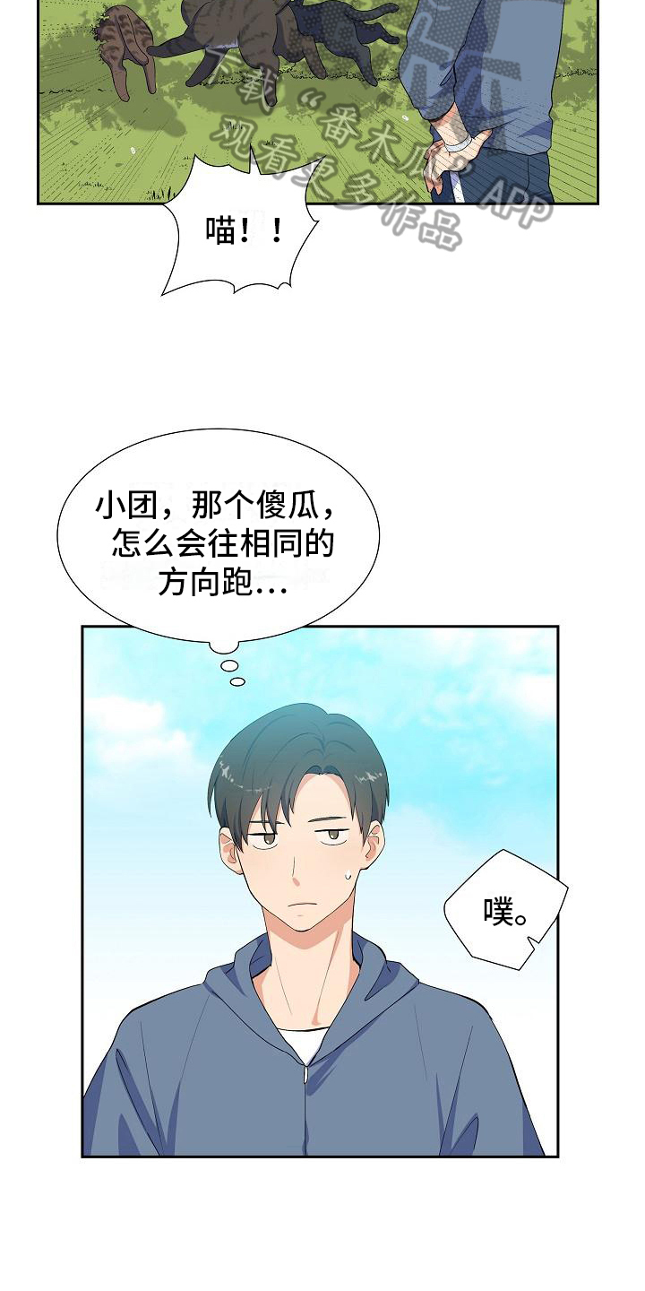 第7章：猫的纷争10