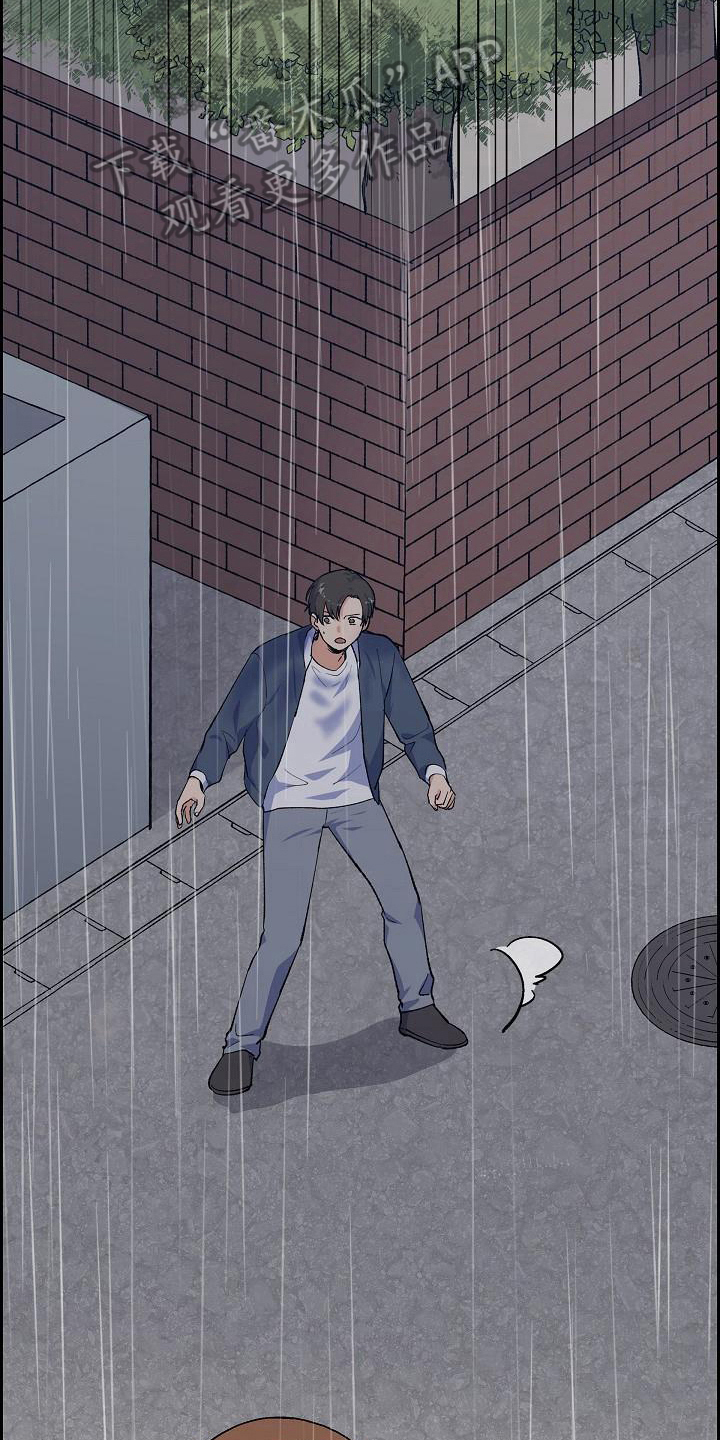 第29章：跟丢了14