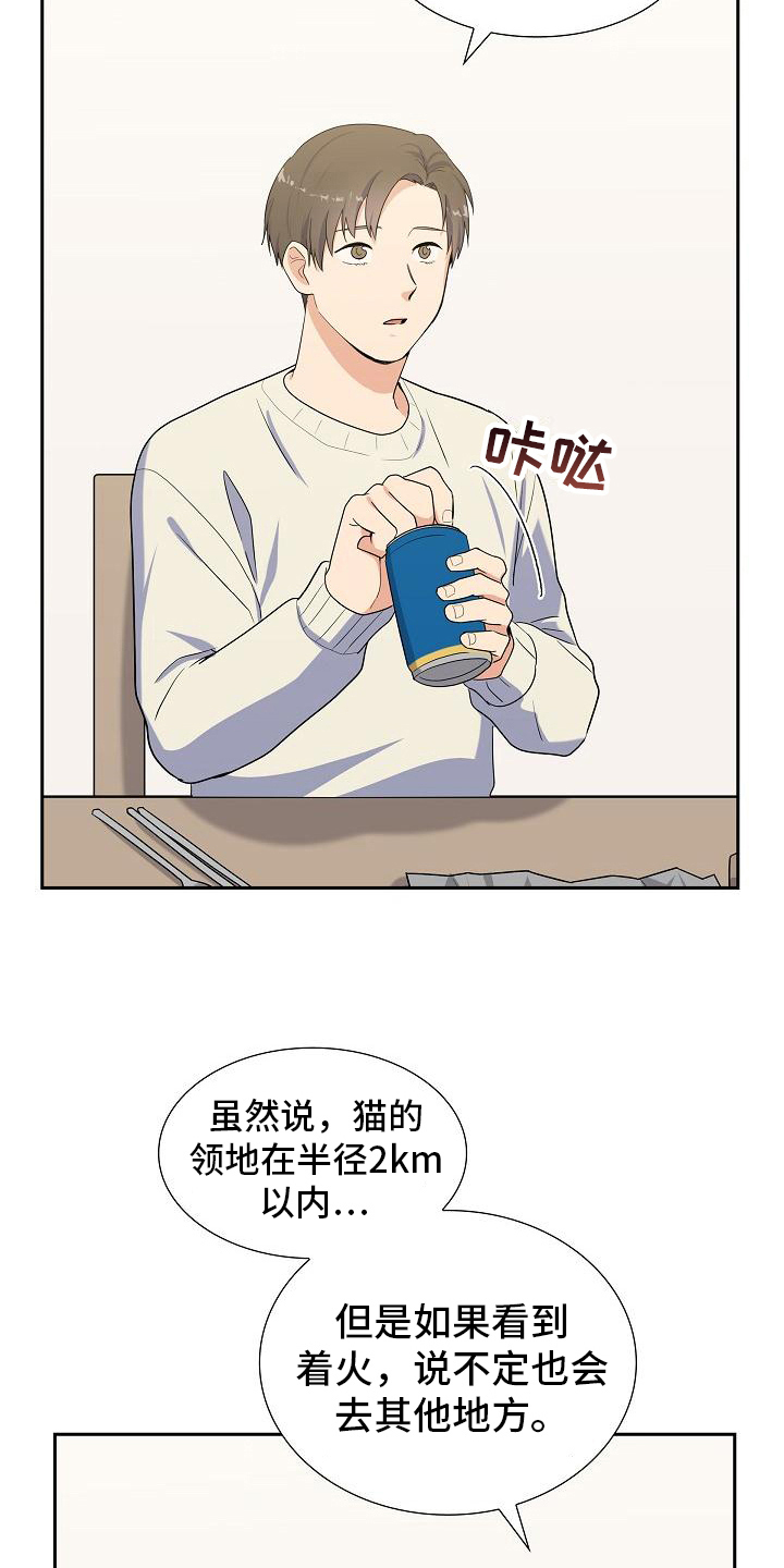 第15章：建议4