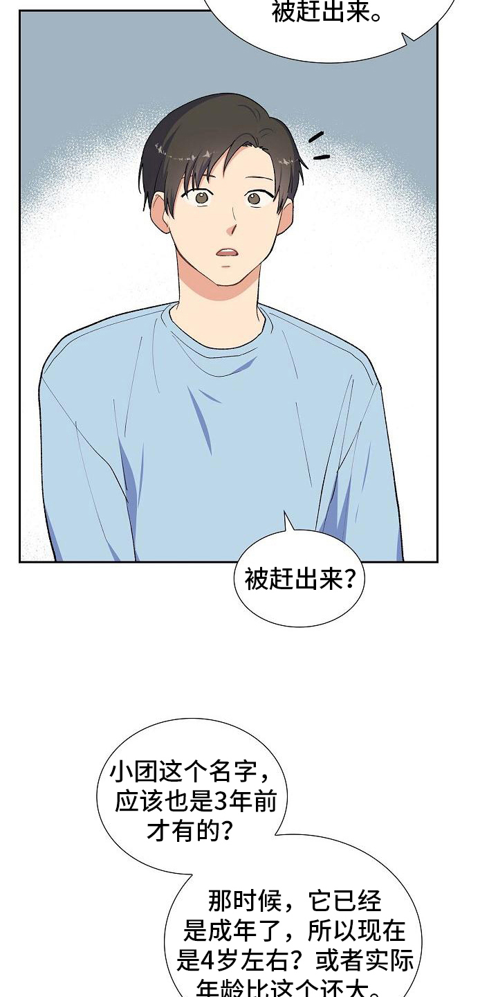第26章：猜测8