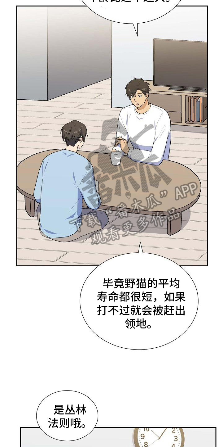 第26章：猜测9