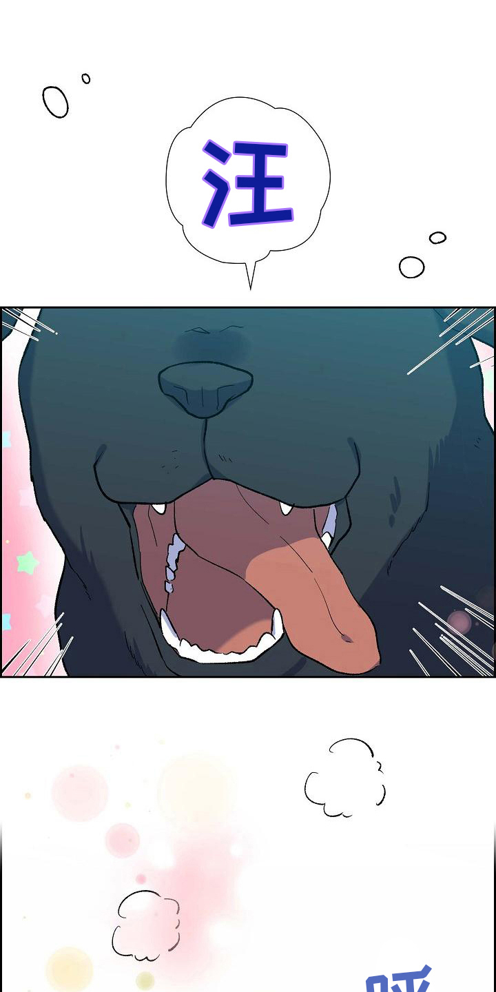 第23章：相似18