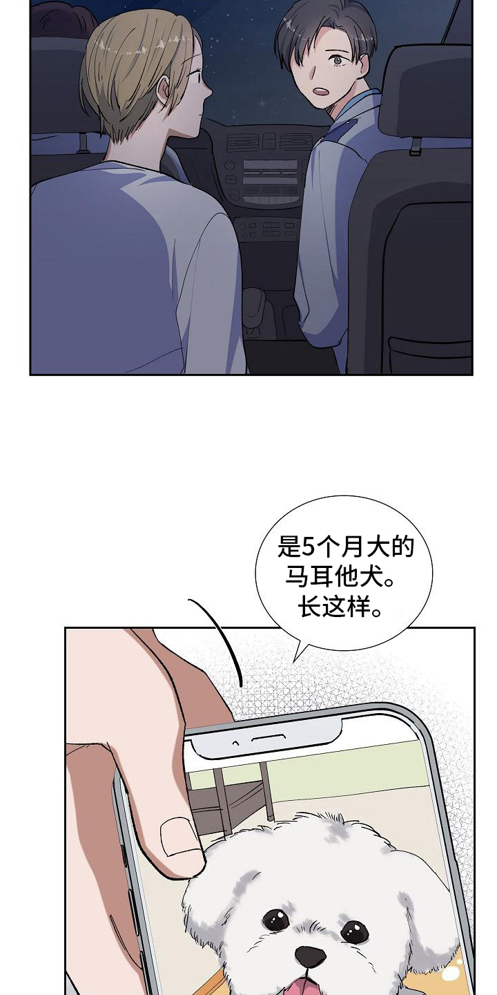 第17章：找狗12