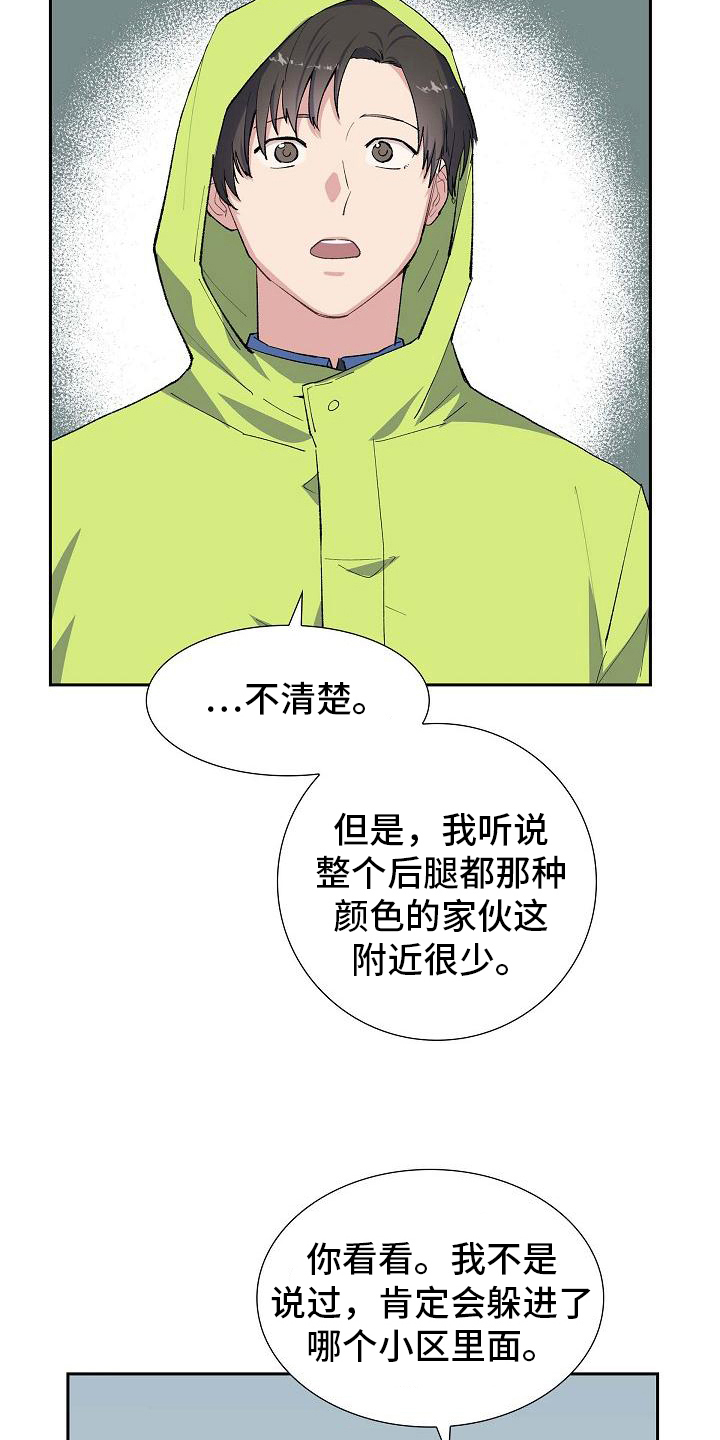 第23章：相似13