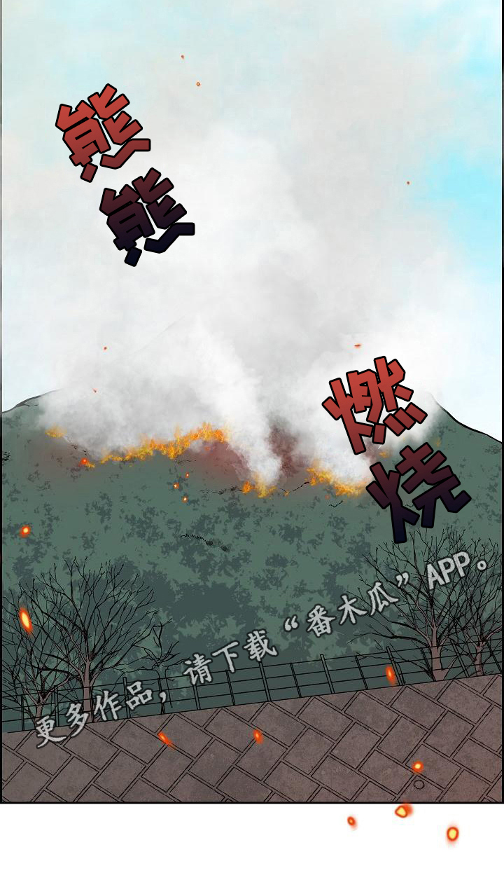 第10章：山火18