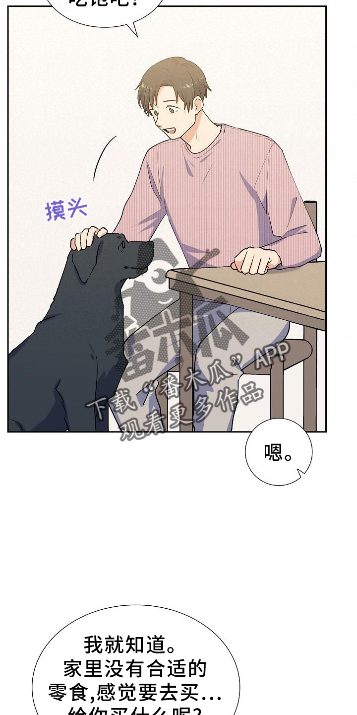 第33章：零食11