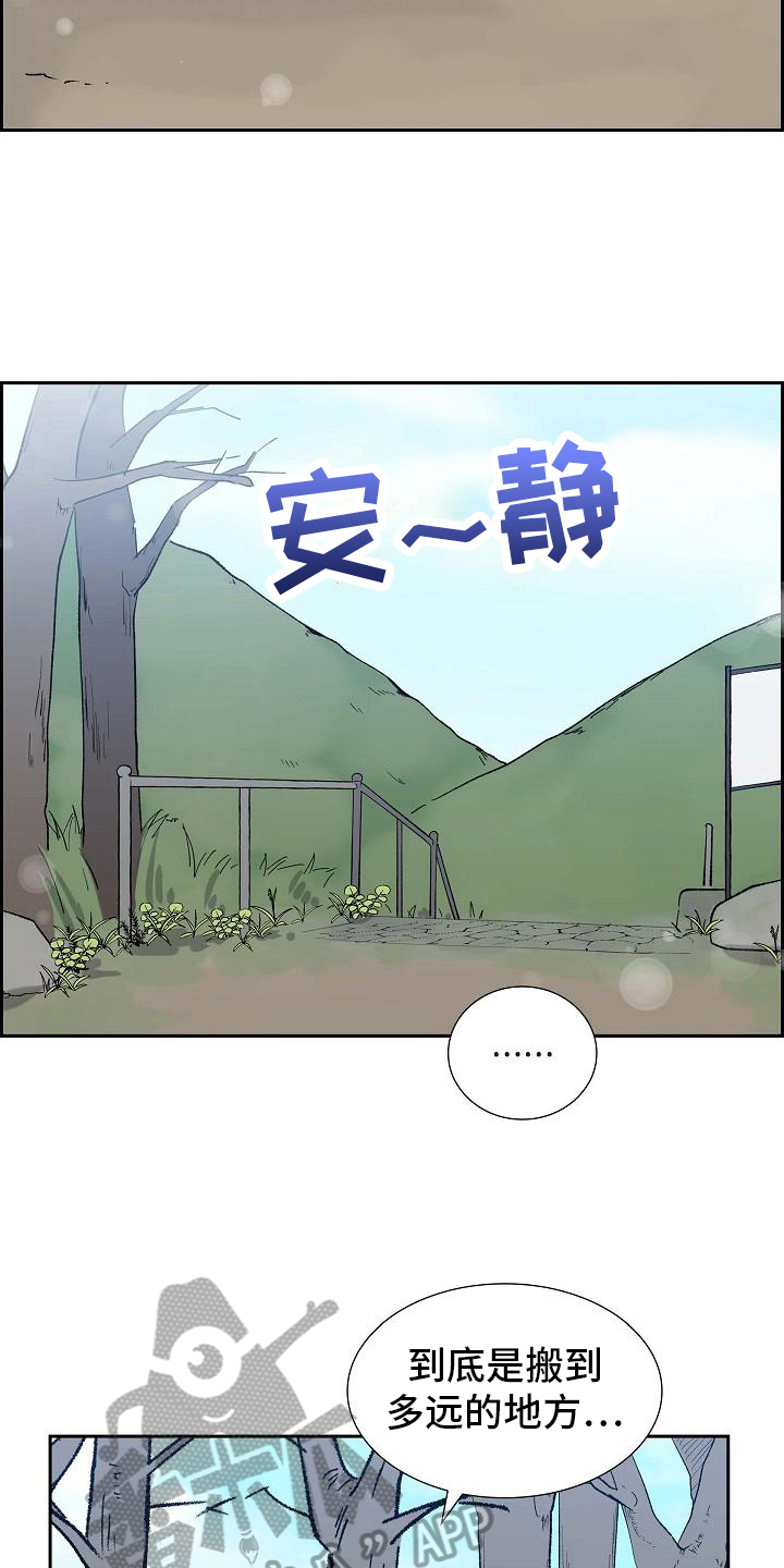 第21章：分析11