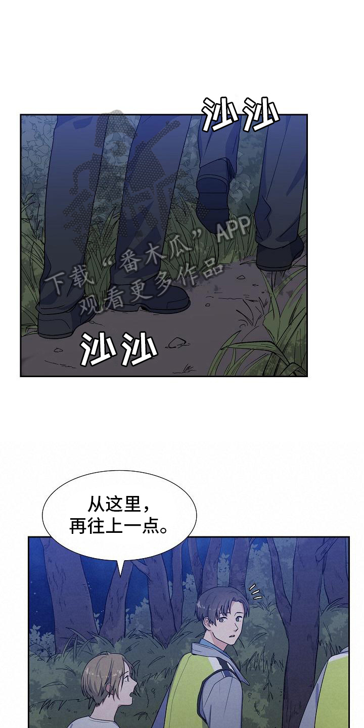 第17章：找狗16