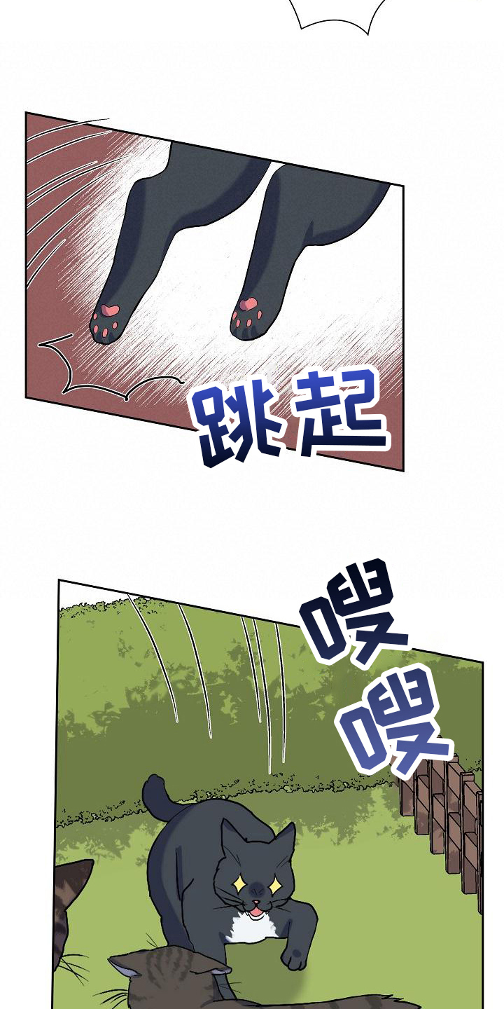 第7章：猫的纷争5