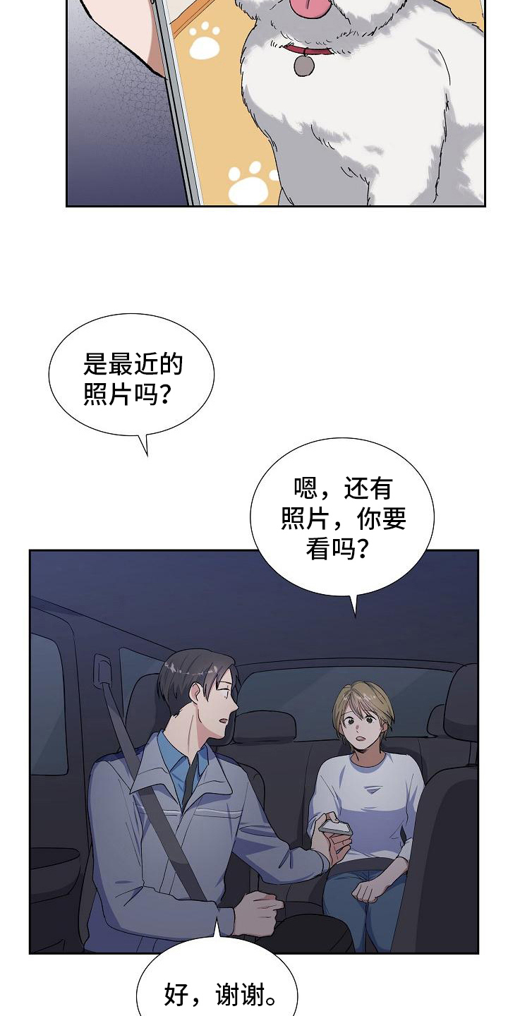 第17章：找狗13