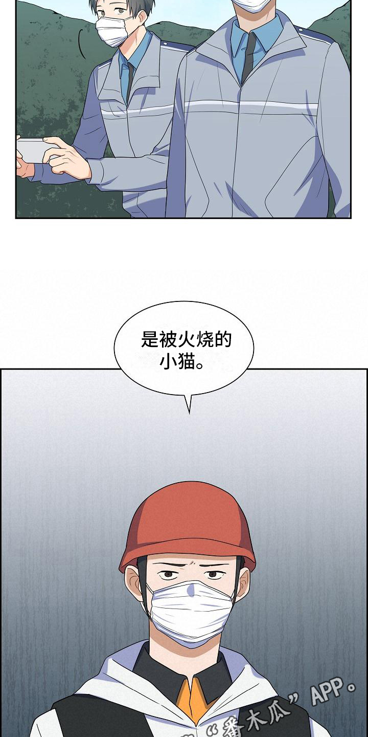 第13章：起因19
